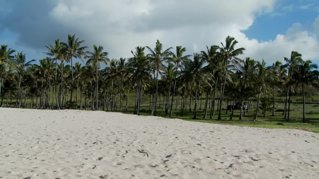 저 멀리 열대 야자수가 있는 거의 완벽한 백사장을 가로지르세요 1