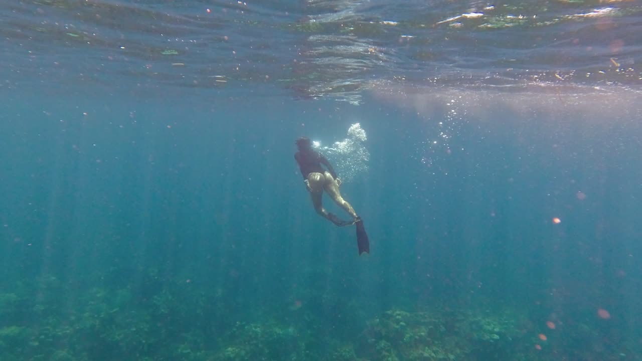 Beautiful woman snorkels in clear warm water in Roatan, Honduras
