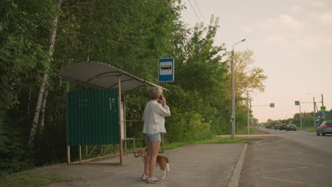 dog owner standing at bus stop in rural area holding dog on leash while talking on phone looking into distance, bus stop shelter, and road with several cars lined up following each other