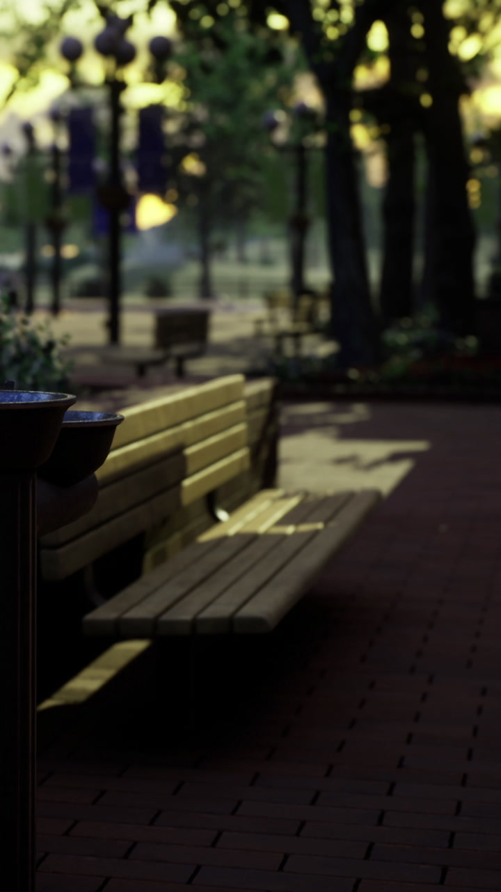 Bench under trees near pathway in quiet park during evening light