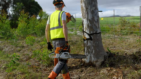 lumberjacks standing near marked tree 4k