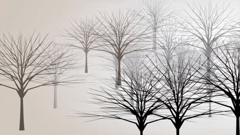 silhouetted bare trees in a misty forest