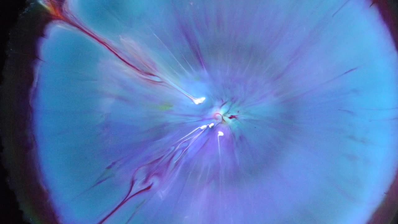 a la luz de las velas, bebiendo un chablis, miré sus maravillosos ojos.