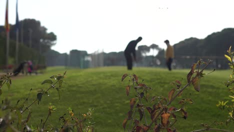 golf players in the background on the lawn to practice the sport