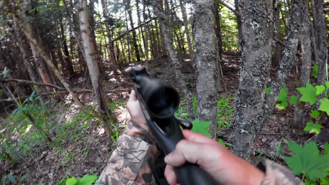 охотник, стреляющий из дробовика 4к