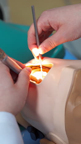 dental practical exercising with dummy. professional dental equipment and dental examination training. vertical video