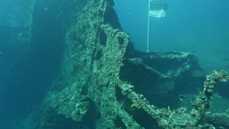 Underwater-view-of-the-Liberty-shipwreck-covered-in-coral-and-marine-life,-Tulamben,-Bali