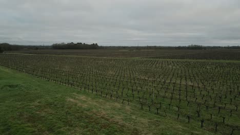 Drohnenaufnahme-über-Den-Weinbergen-Von-Pugnac,-Bordeaux