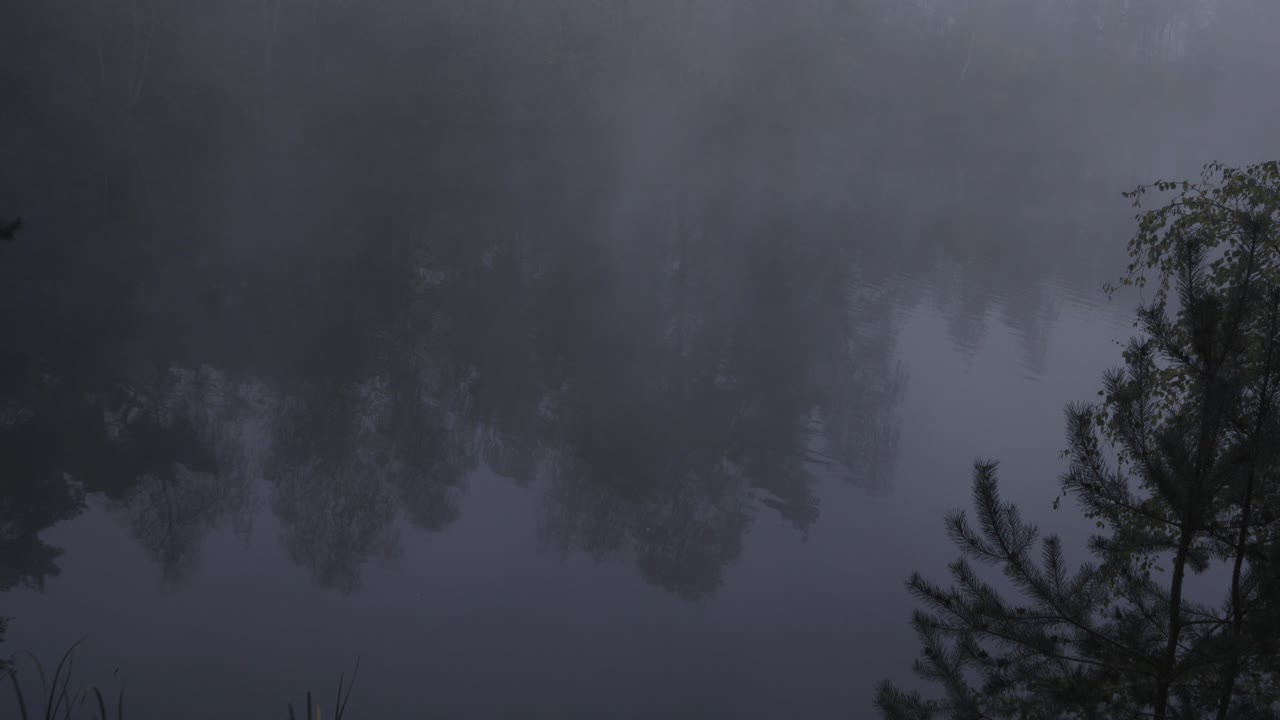 벨기에의 안개가 자욱한 호수는 정말 어둡고 변덕스러워 보입니다.