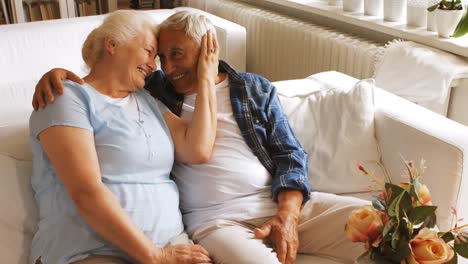 senior couple romancing in living room