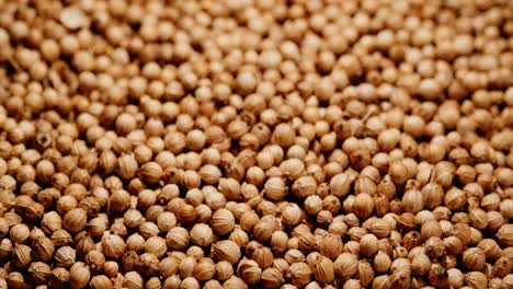 close-up of coriander heap with a black background and professional lighting