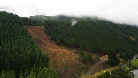 Deforestation-land-plot-in-New-Zealand,-Nelson-area,-aerial-orbit-view