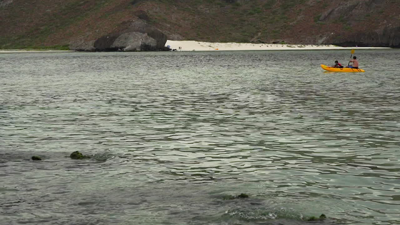 kayakista mexicano acolchado canoa barco en el mar baja california, méjico, persona no reconocida
