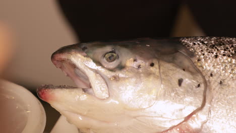 Whole-Salmon-Fish-In-The-Kitchen-For-Sushi-Japanese-Menu---extreme-close-up,-slow-motion