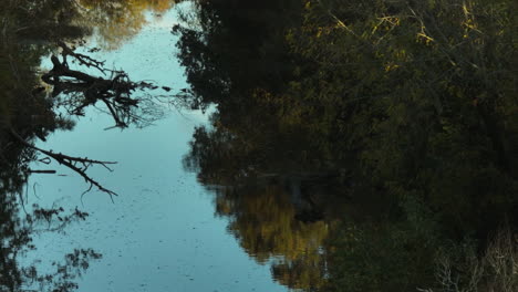 Swamps-And-Vegetation-Near-Rural-Town-In-Combs-Park,-Fayetteville,-Arkansas,-USA