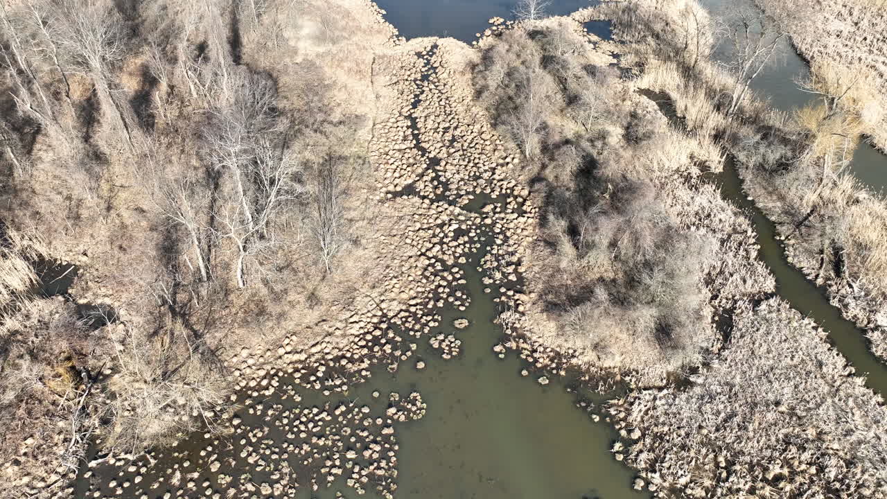초창기 봄 물 초원 나디르