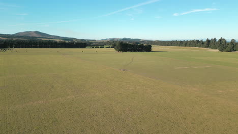 empty paddock in canterbury new zealand drone tracking forward