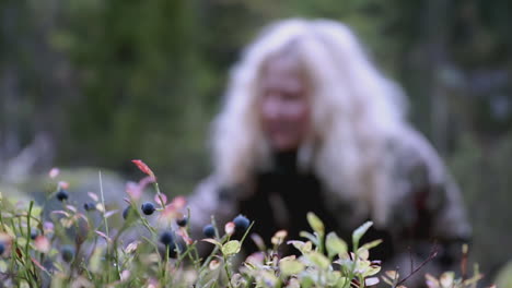 woman picking blueberries in the forest