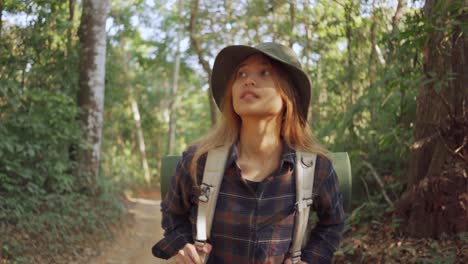 hiking woman walk in rainforest jungle. rear back view of girl hiker walking with backpack through dense rain forest nature summer day, sun effect.