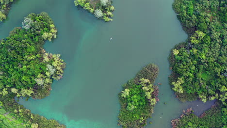 Toma-Vertical-Con-Drones-Sobre-Un-Hermoso-Manglar