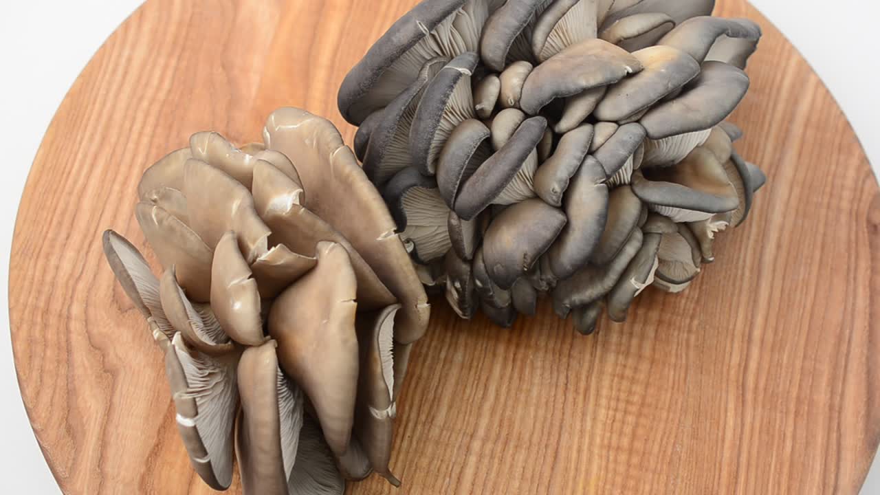 Funghi Pleurotus su un tagliere. Riprese in movimento