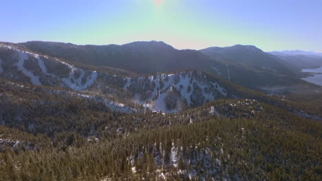 Push-over-Douglas-Fir-trees-towards-mountains-in-Lake-Tahoe-on-a-beautiful-sunny-day