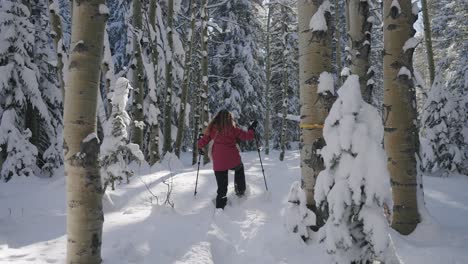 Hermosa-Mujer-Aventurándose-A-Través-De-La-Nieve-En-Un-Bosque