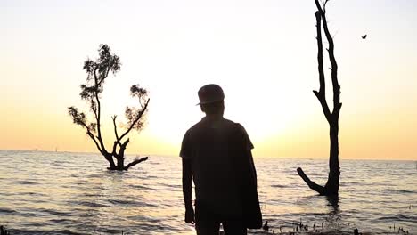 Viajero-Disfrutando-De-La-Vista-Al-Mar-Con-Un-árbol-En-Medio-Del-Agua-Durante-La-Puesta-De-Sol,-Tiro-De-Mano