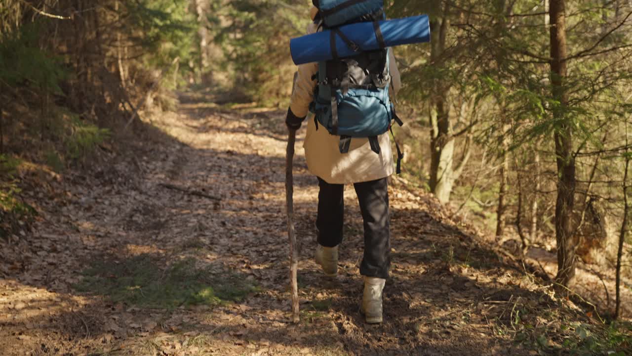 숲에서 산책하는 것