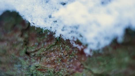 Tronco-De-árbol-Cubierto-De-Nieve,-Perspectiva-Macro.