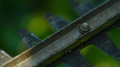 Close-Up-of-hedge-power-trimmer-blades-in-sunlight-with-blurry-background