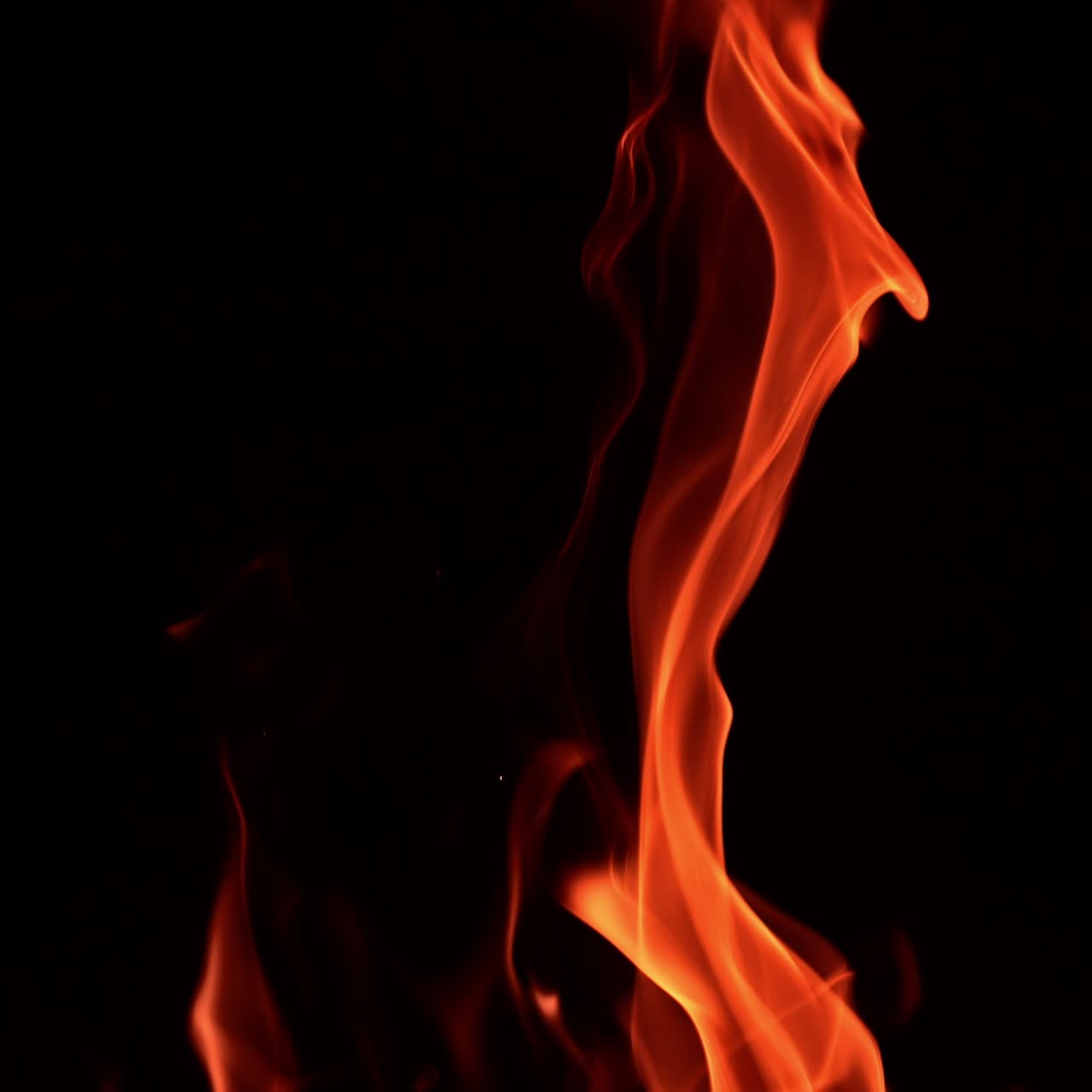 Dancing fire flame in the night. Mesmerizing tongues of blaze at black backdrop. Close up