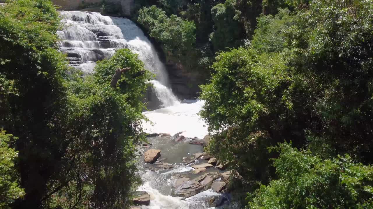 cascada de vuelo en el medio de la jungla día de verano