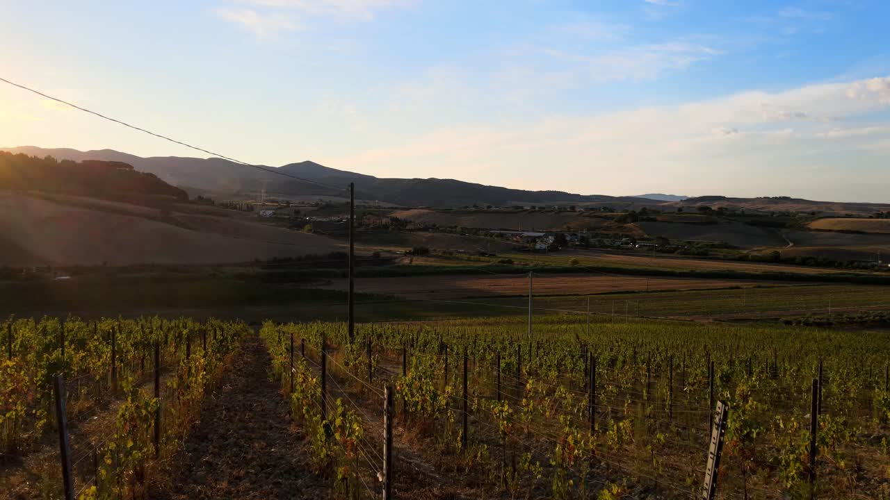 paisaje aéreo sobre filas de viñedos, en las colinas de la toscana, en el campo italiano, al atardecer