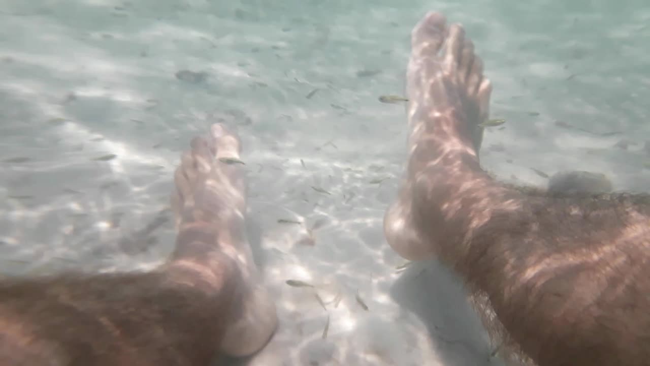 Relaxing sitting in clear, transparent waters, full of small fish. human feet close up