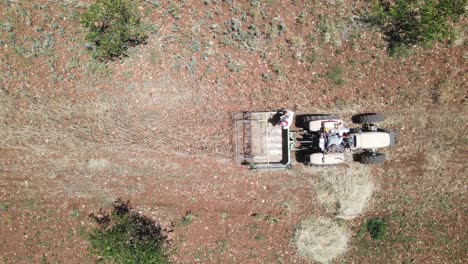 agricultural farming above view