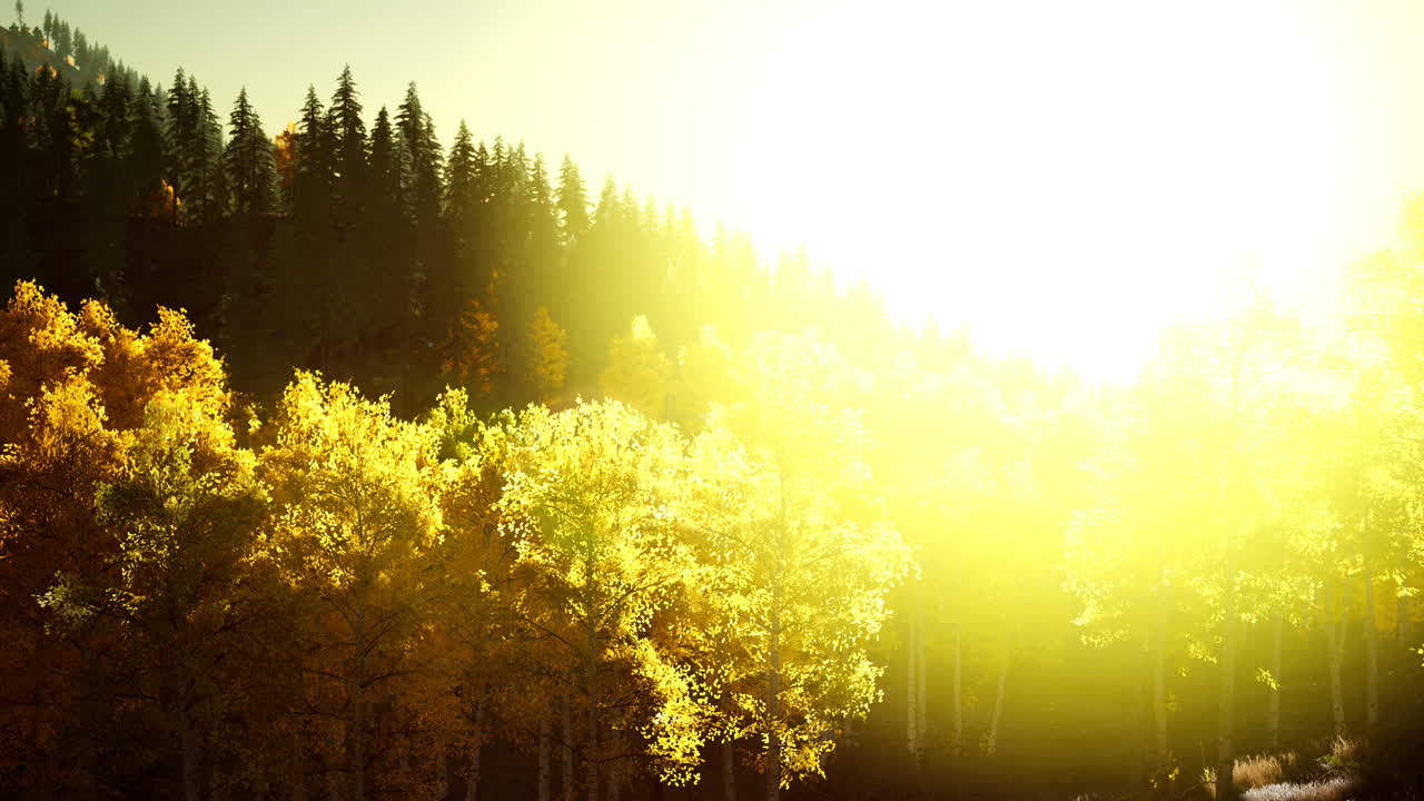 산에서 밝은 해가 지는 것