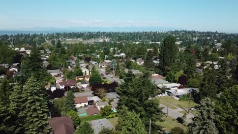 Techo-De-Una-Tranquila-Zona-Residencial-Con-Exuberantes-Coníferas-Durante-El-Día-En-El-Oeste-De-Seattle,-Washington