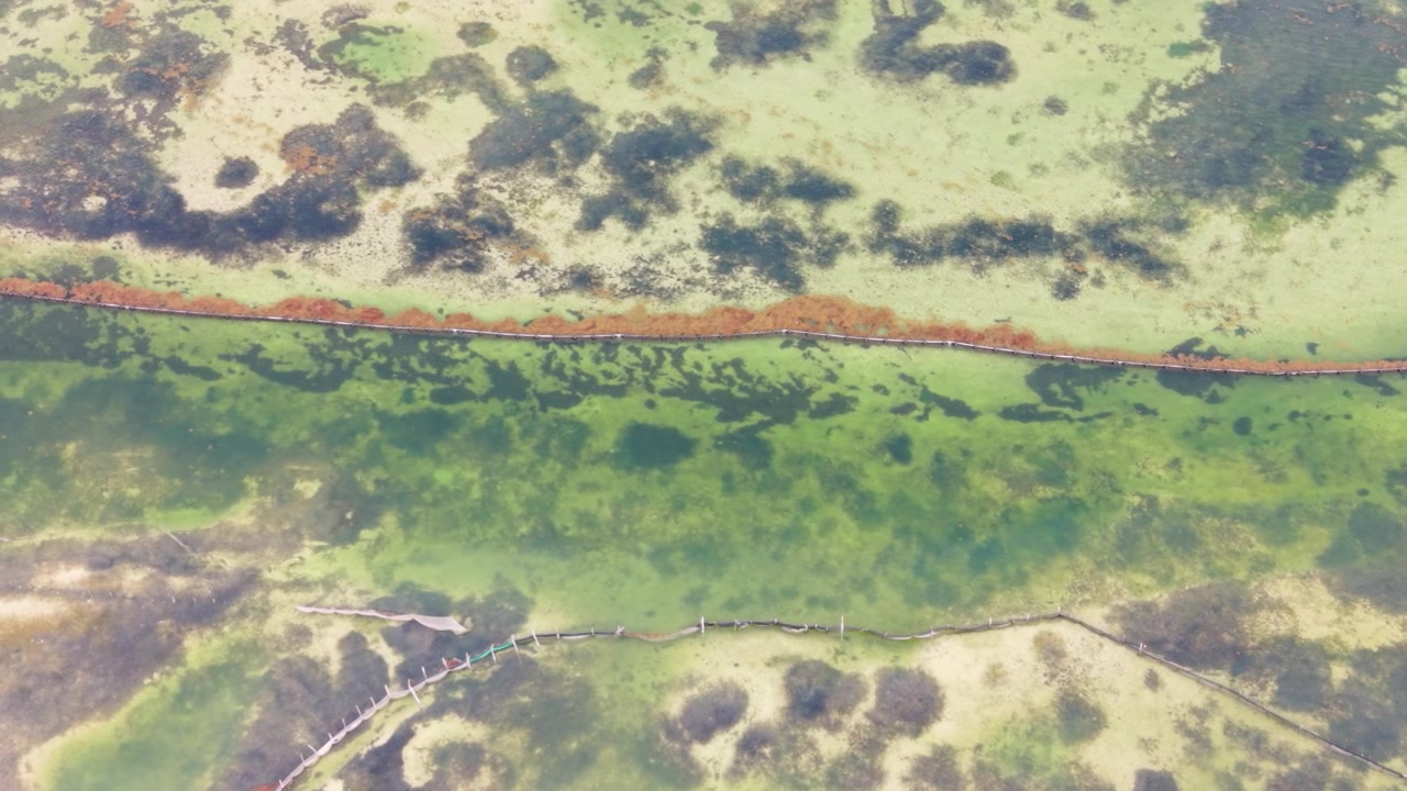 Clean turquoise waters behind sargassum barriers in Mahahual