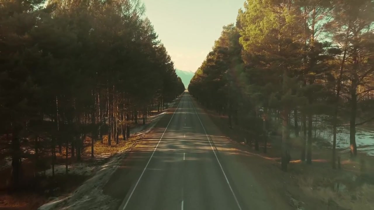 Riprese aeree di un'autostrada asfaltata dritta e vuota che taglia una suggestiva foresta di pini sempreverdi con montagne in lontananza in Buriazia, Russia, durante la calda luce del sole in un viaggio tranquillo