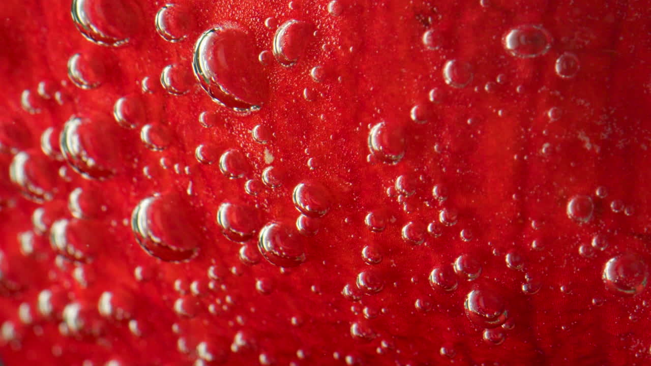 거품 이 있는 은 꽃 잎자루 의 클로즈업