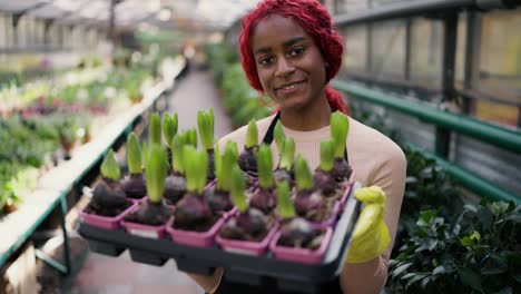 lovely multiethnic worker holding row of young seedlings flowers