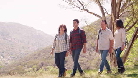 Couple-and-senior-parents--talking-during-a-mountain-walk