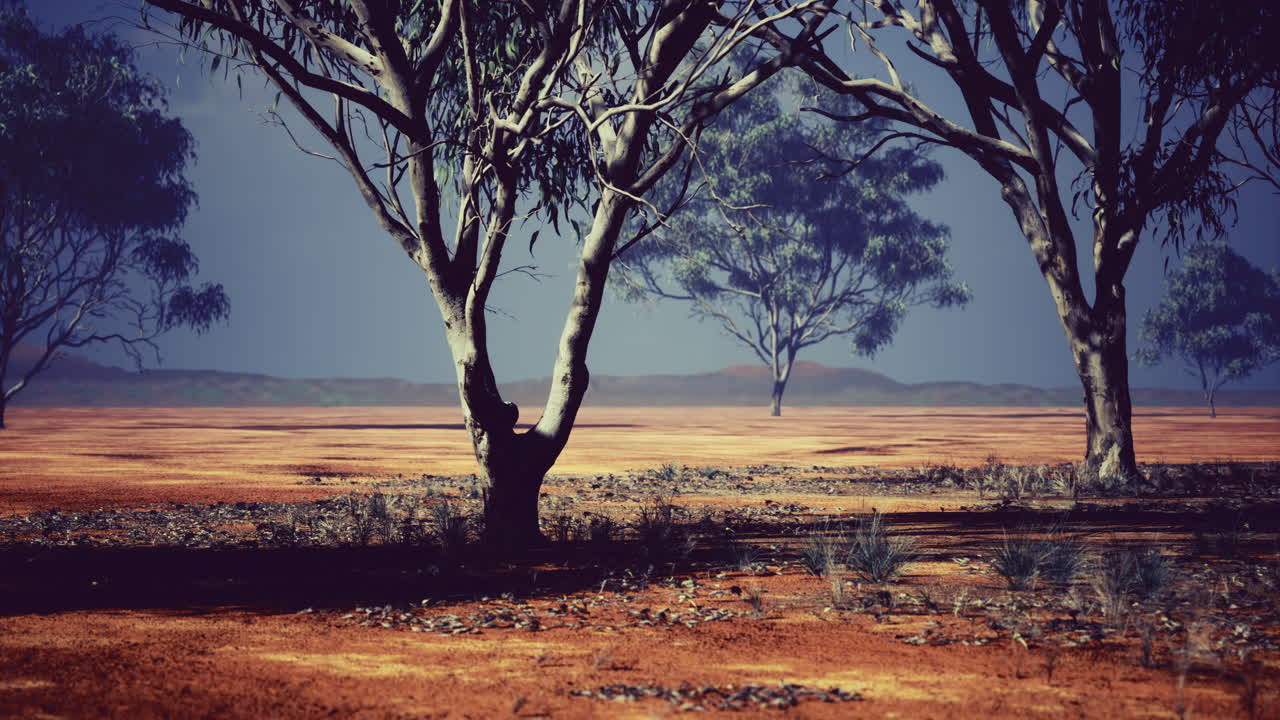 Desert landscape with sparse trees and colorful ground at dusk