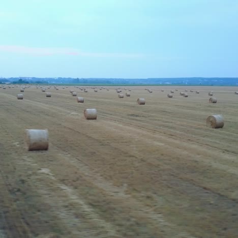 campo de la granja con balas de heno