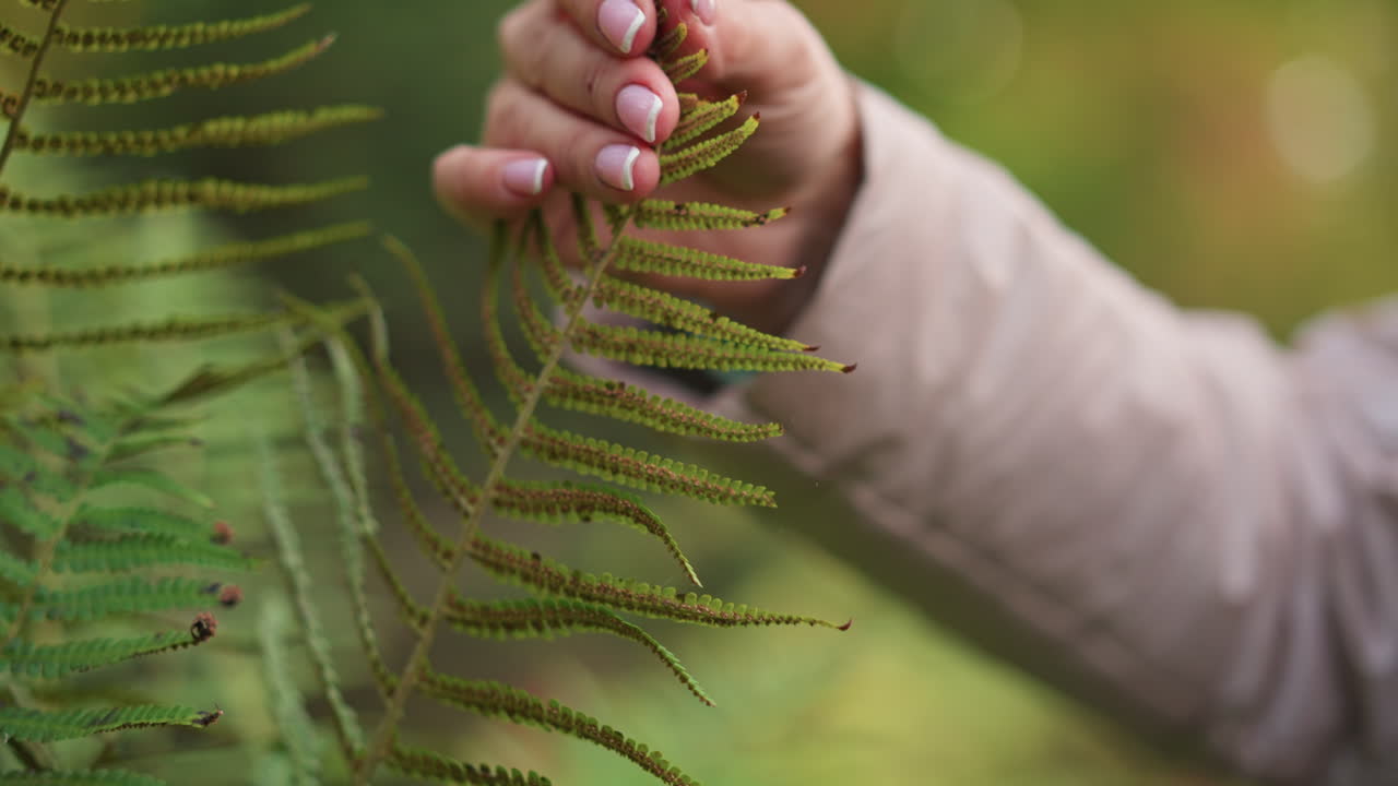 close up of person gently pinching tip of fern leaf while studying plant structure in green forest, detail focused interaction captures care and curiosity in outdoor environmental
