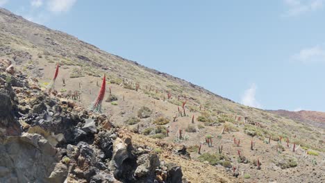 Wüstenartiger-Hang-Des-Teide-Nationalparks-Auf-Der-Insel-Teneriffa,-Schwenkansicht-Von-Rechts