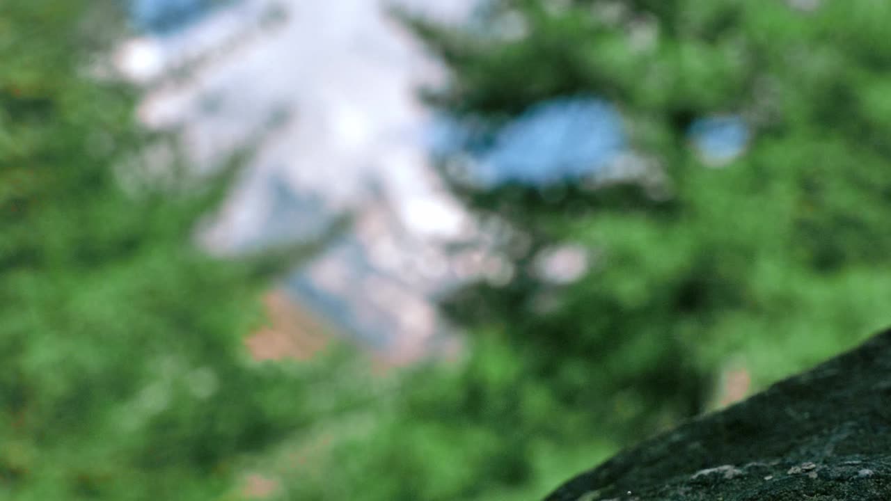 카메라가 기울어지고 초점이 바뀌어 나무로 둘러싸인 아름다운 눈 모자 산이 드러납니다.