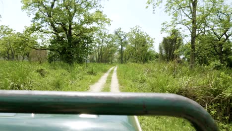 open roof safari in rainforest, chitwan national park, nepal.