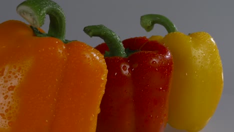 fresh red, yellow, and orange peppers on a white background with water droplets